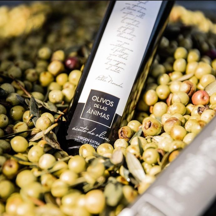 Olivos de las Animas